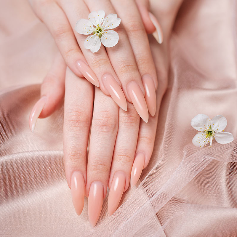 Nova Nail Spa